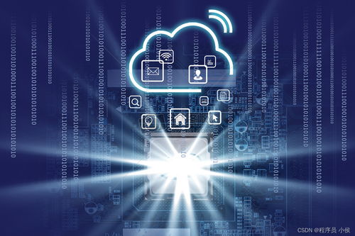 大數(shù)據(jù)時(shí)代的軟件開發(fā)實(shí)踐 利用云計(jì)算與AI賦能創(chuàng)新